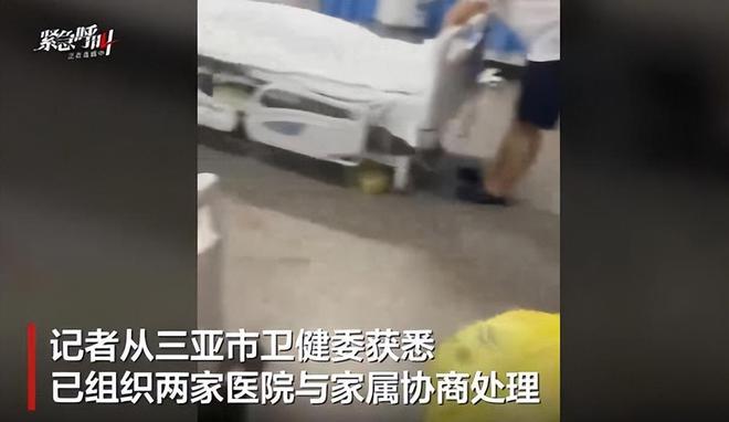 身亡！身材一绝是家中独生女肤白貌美太可惜pg电子模拟器免费版27岁女游客被蛇咬(图17)